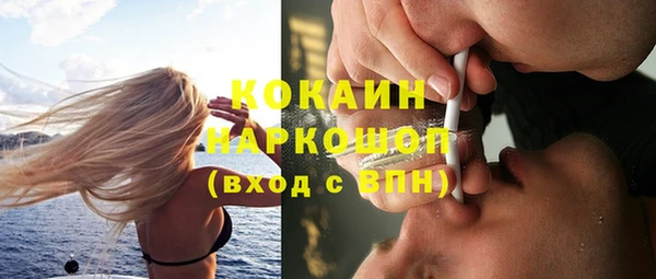 дживик Алексин