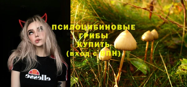 амф Абдулино