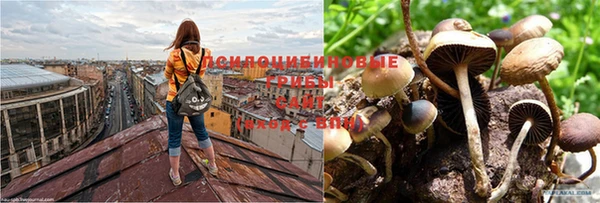гашиш Алексеевка