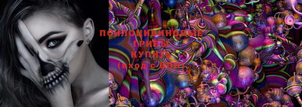 дживик Алексин